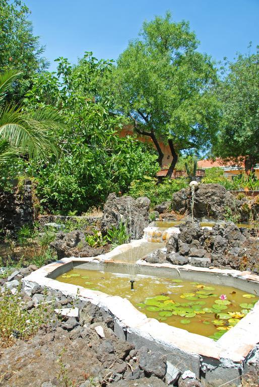 Sotto Il Vulcano Николози Экстерьер фото